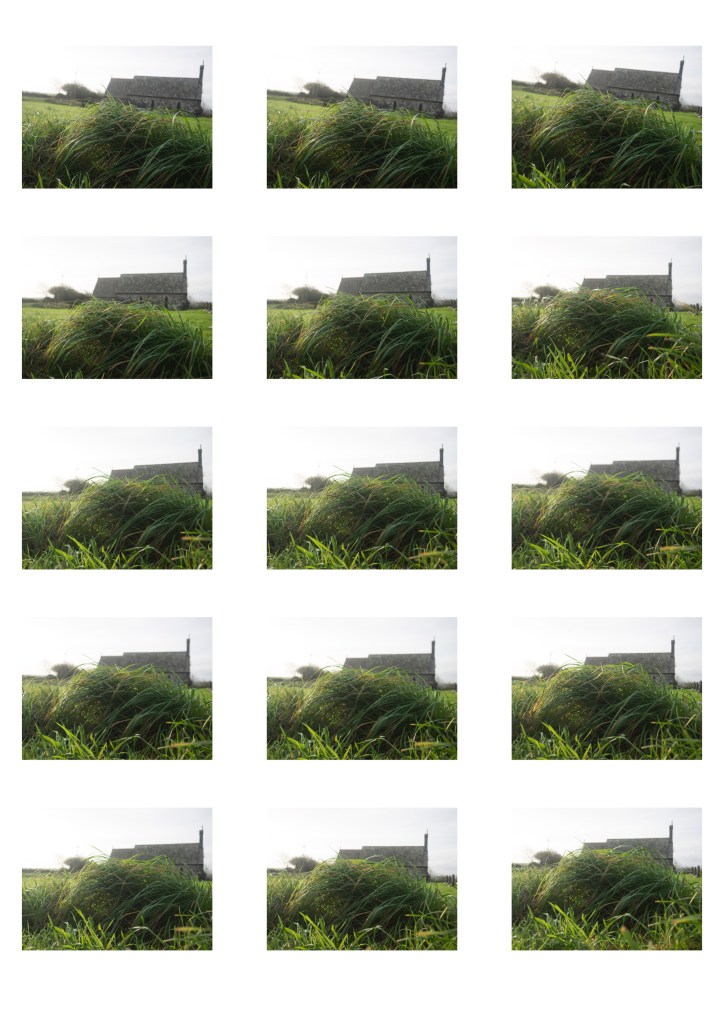 This image has an empty alt attribute; its file name is contact-sheet-3-05.jpg