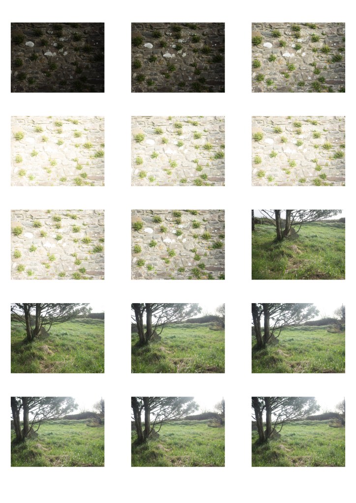 This image has an empty alt attribute; its file name is contact-sheet-3-07.jpg