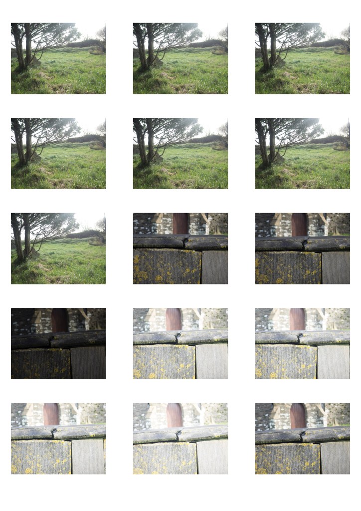 This image has an empty alt attribute; its file name is contact-sheet-3-08.jpg